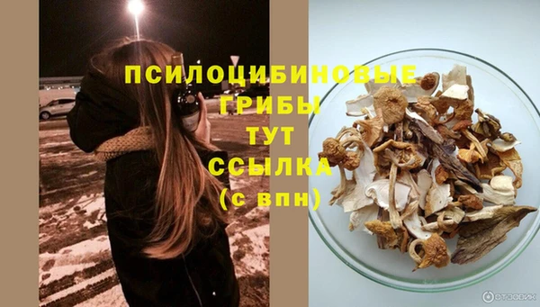 эйфоретик Нязепетровск